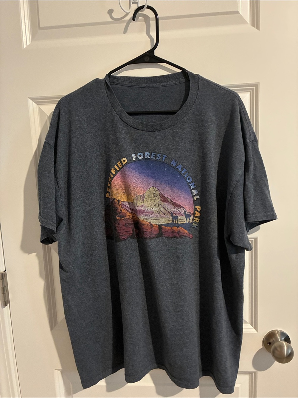 Petrified Forest National Park Graphic Tee - Charcoal
